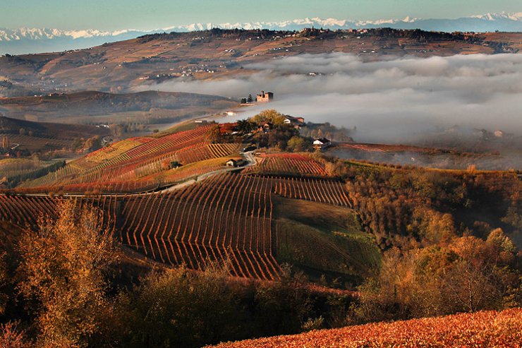 zona nitivinicola delle Langhe